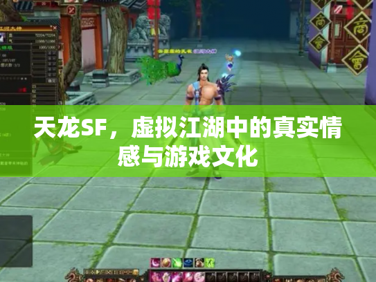 天龙SF，虚拟江湖中的真实情感与游戏文化