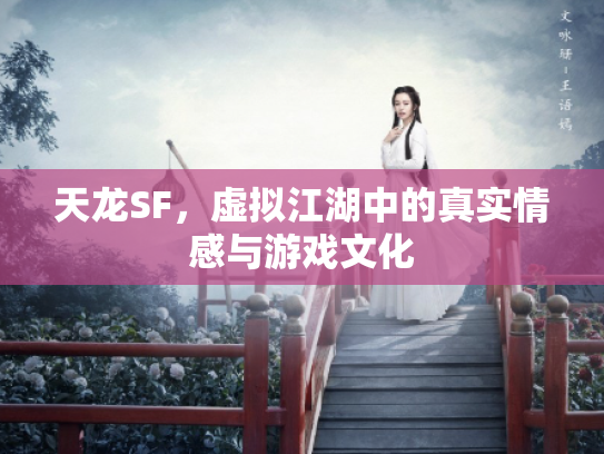 天龙SF，虚拟江湖中的真实情感与游戏文化