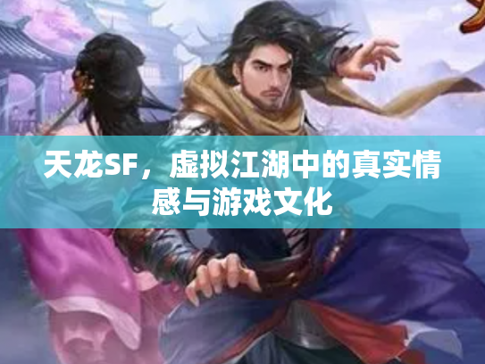 天龙SF，虚拟江湖中的真实情感与游戏文化