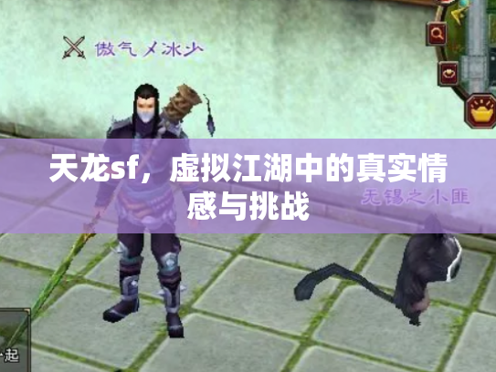 天龙sf，虚拟江湖中的真实情感与挑战