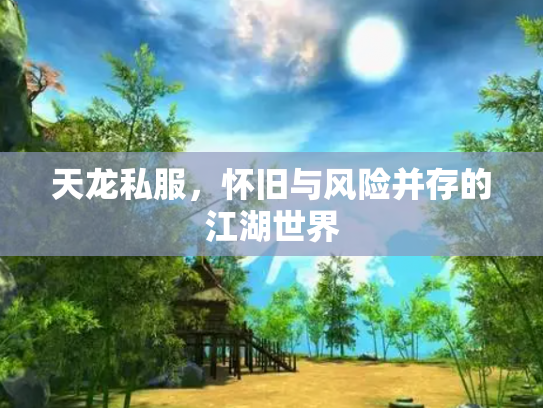 天龙私服，怀旧与风险并存的江湖世界