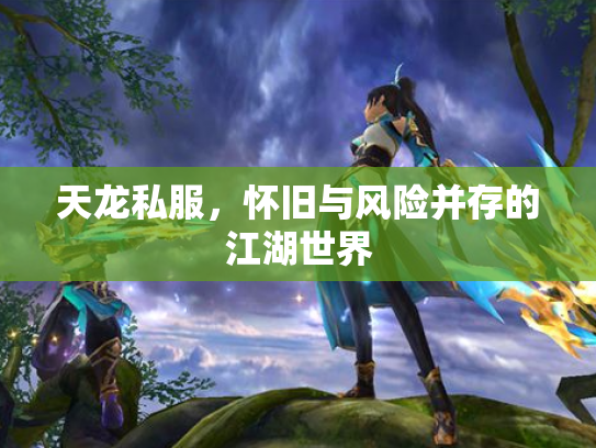 天龙私服，怀旧与风险并存的江湖世界