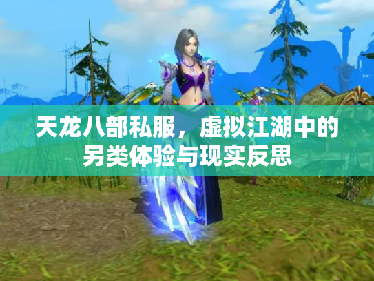 天龙八部私服，虚拟江湖中的另类体验与现实反思