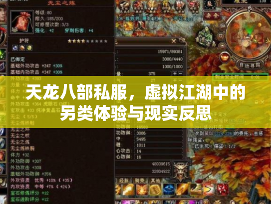 天龙八部私服，虚拟江湖中的另类体验与现实反思