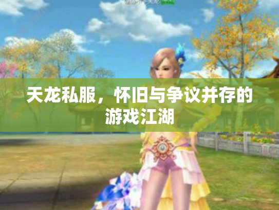 天龙私服，怀旧与争议并存的游戏江湖