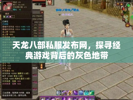 天龙八部私服发布网，探寻经典游戏背后的灰色地带