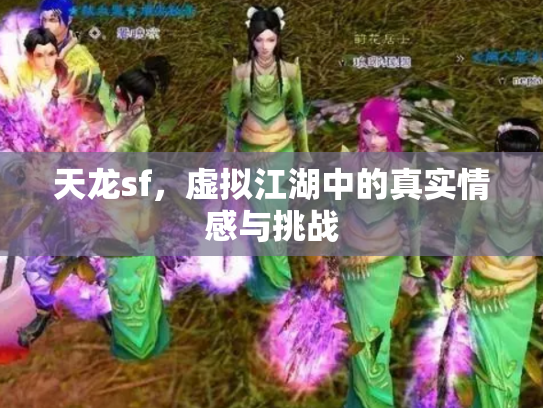天龙sf，虚拟江湖中的真实情感与挑战
