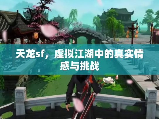 天龙sf，虚拟江湖中的真实情感与挑战