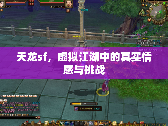 天龙sf，虚拟江湖中的真实情感与挑战