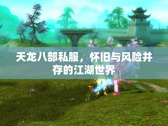 天龙八部私服，怀旧与风险并存的江湖世界
