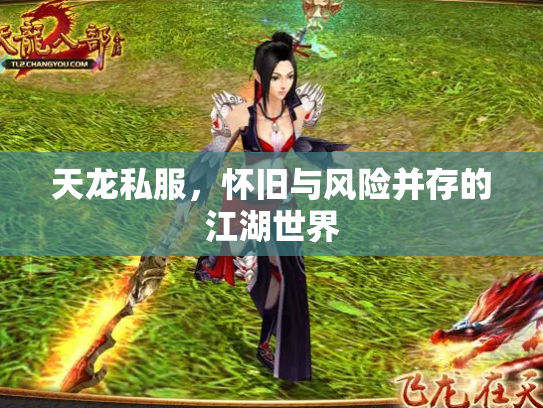 天龙私服，怀旧与风险并存的江湖世界