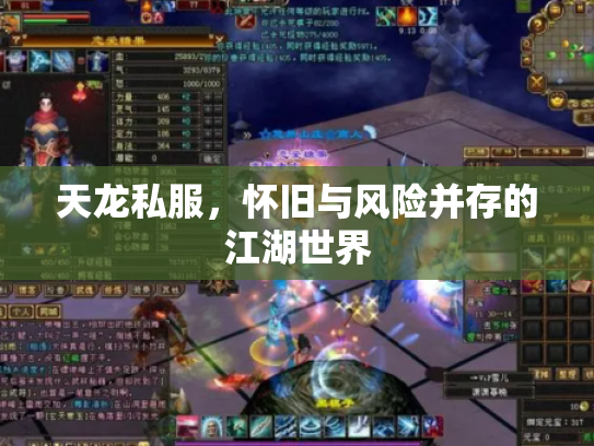 天龙私服，怀旧与风险并存的江湖世界