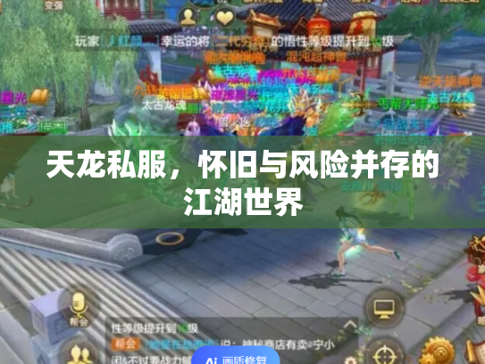 天龙私服，怀旧与风险并存的江湖世界
