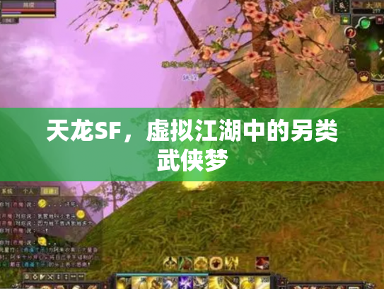 天龙SF，虚拟江湖中的另类武侠梦