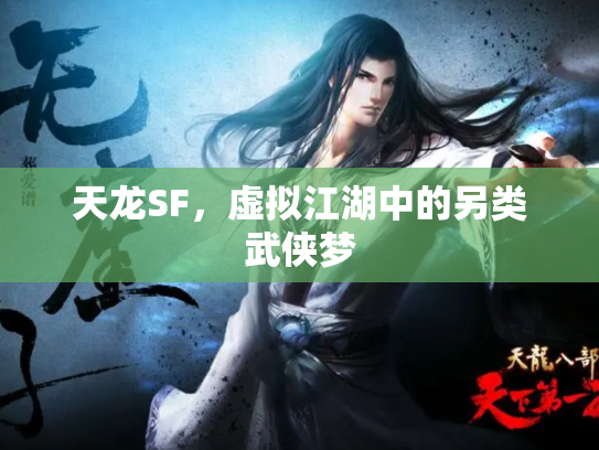 天龙SF，虚拟江湖中的另类武侠梦