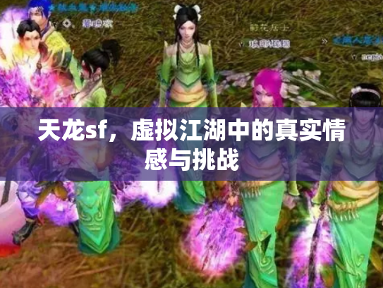 天龙sf，虚拟江湖中的真实情感与挑战