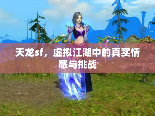天龙sf，虚拟江湖中的真实情感与挑战