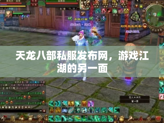 天龙八部私服发布网，游戏江湖的另一面