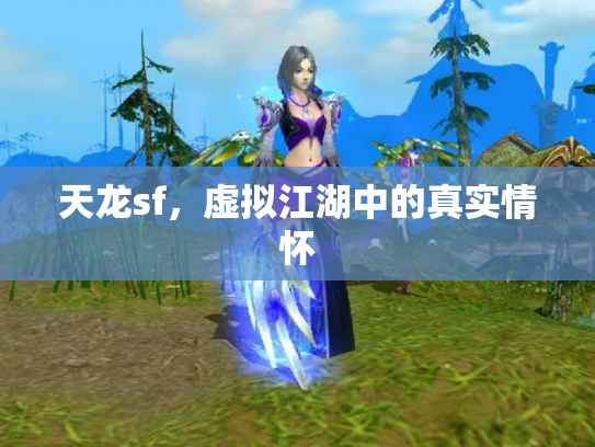 天龙sf，虚拟江湖中的真实情怀