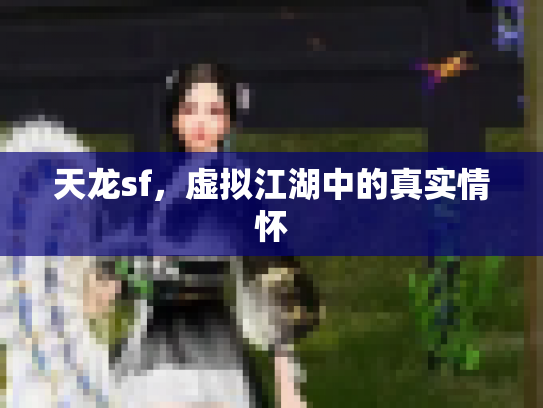 天龙sf，虚拟江湖中的真实情怀