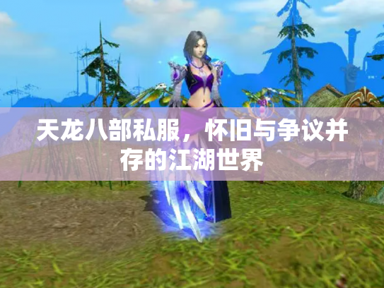 天龙八部私服，怀旧与争议并存的江湖世界