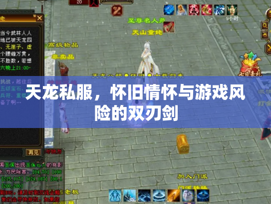 天龙私服，怀旧情怀与游戏风险的双刃剑