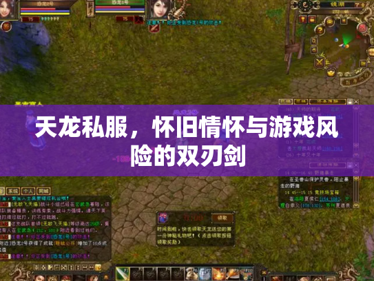 天龙私服，怀旧情怀与游戏风险的双刃剑