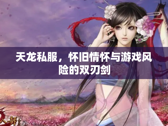 天龙私服，怀旧情怀与游戏风险的双刃剑