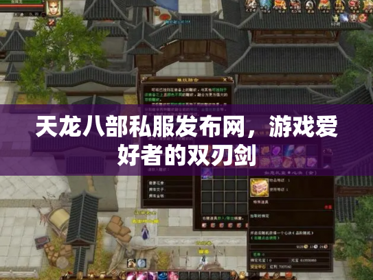 天龙八部私服发布网，游戏爱好者的双刃剑