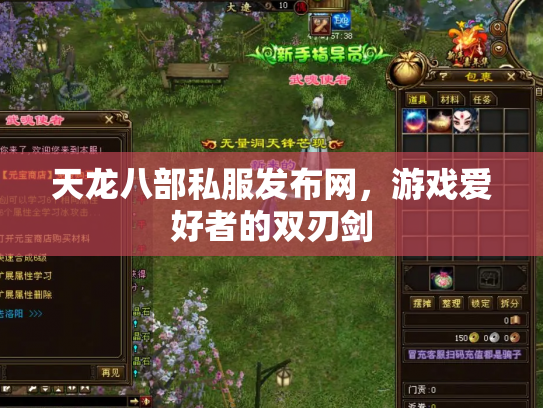 天龙八部私服发布网，游戏爱好者的双刃剑