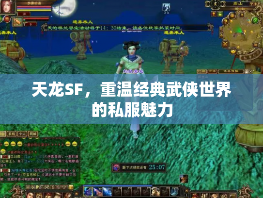 天龙SF，重温经典武侠世界的私服魅力