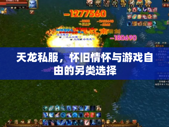 天龙私服，怀旧情怀与游戏自由的另类选择