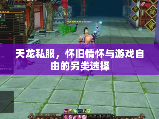 天龙私服，怀旧情怀与游戏自由的另类选择