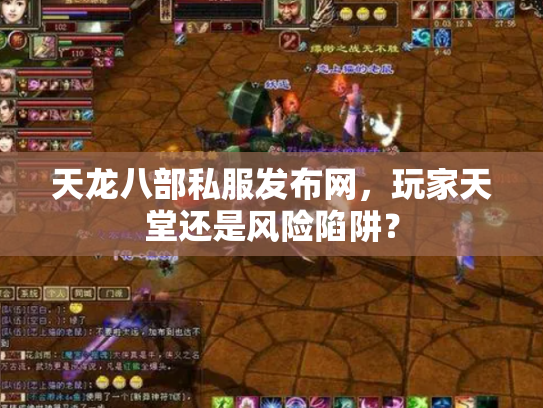 天龙八部私服发布网，玩家天堂还是风险陷阱？