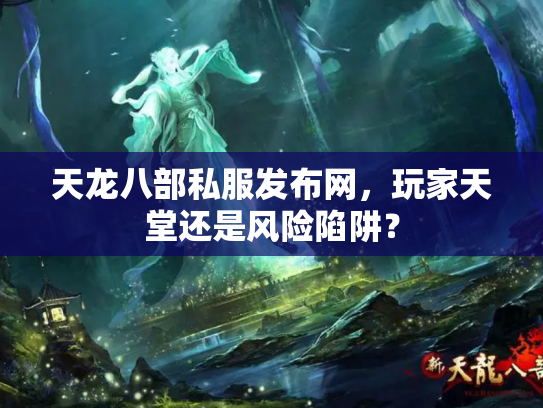 天龙八部私服发布网，玩家天堂还是风险陷阱？