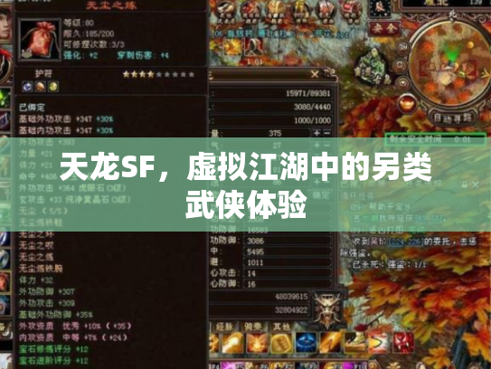 天龙SF，虚拟江湖中的另类武侠体验