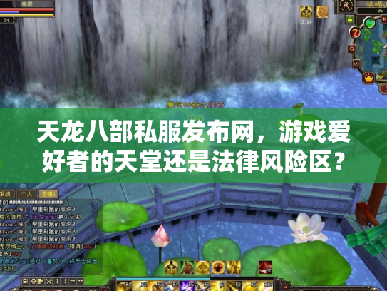 天龙八部私服发布网，游戏爱好者的天堂还是法律风险区？