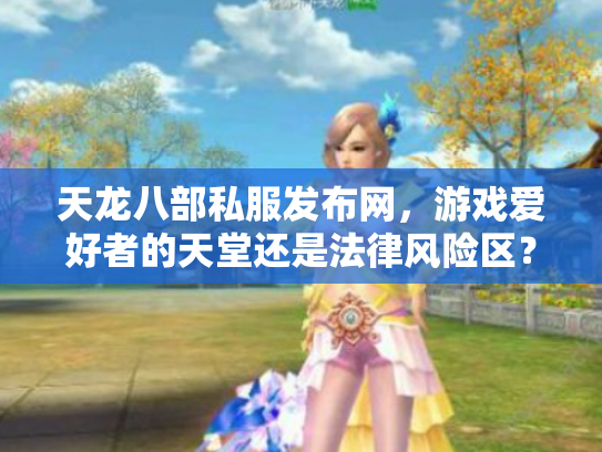 天龙八部私服发布网，游戏爱好者的天堂还是法律风险区？
