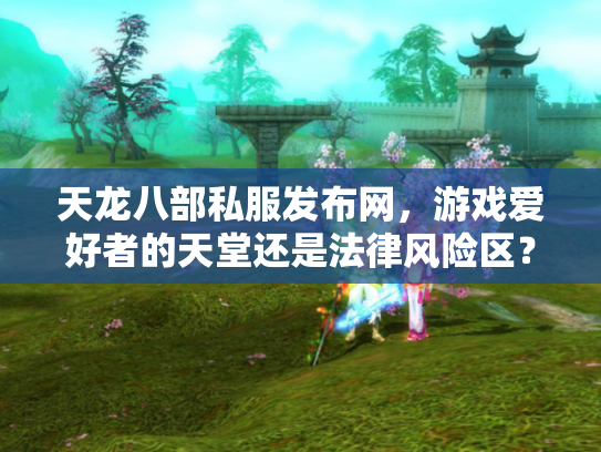 天龙八部私服发布网，游戏爱好者的天堂还是法律风险区？