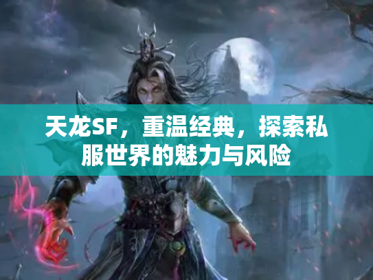 天龙SF，重温经典，探索私服世界的魅力与风险