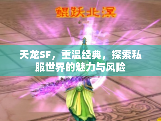 天龙SF，重温经典，探索私服世界的魅力与风险