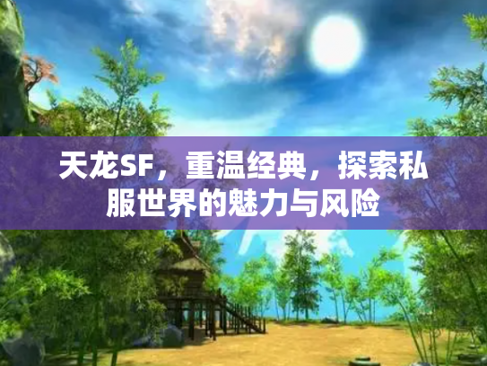 天龙SF，重温经典，探索私服世界的魅力与风险