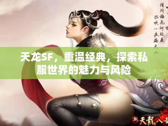 天龙SF，重温经典，探索私服世界的魅力与风险