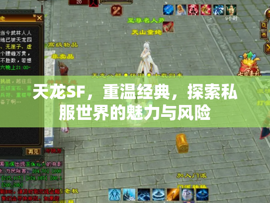 天龙SF，重温经典，探索私服世界的魅力与风险