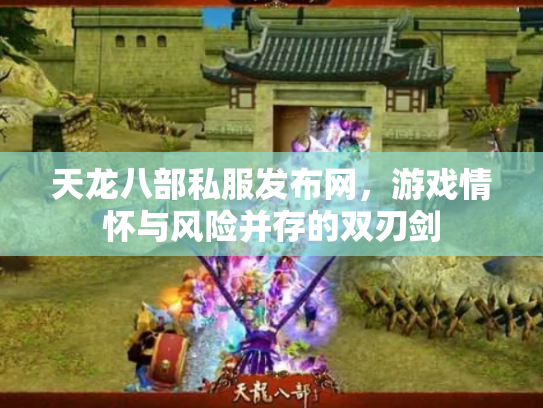 天龙八部私服发布网，游戏情怀与风险并存的双刃剑