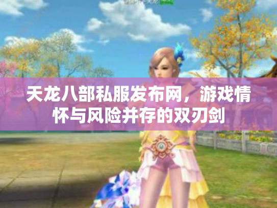 天龙八部私服发布网，游戏情怀与风险并存的双刃剑