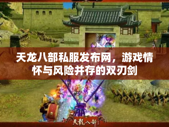 天龙八部私服发布网，游戏情怀与风险并存的双刃剑