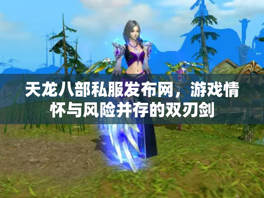 天龙八部私服发布网，游戏情怀与风险并存的双刃剑