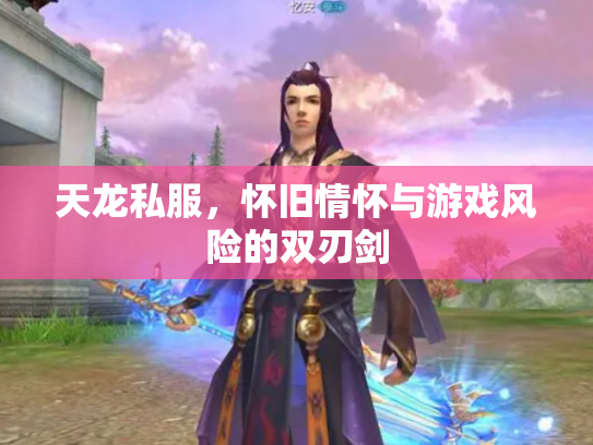 天龙私服，怀旧情怀与游戏风险的双刃剑