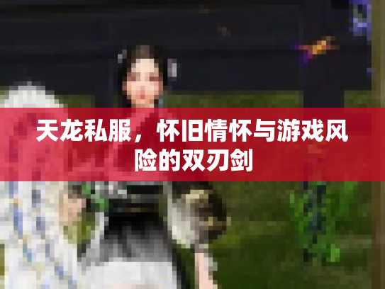 天龙私服，怀旧情怀与游戏风险的双刃剑